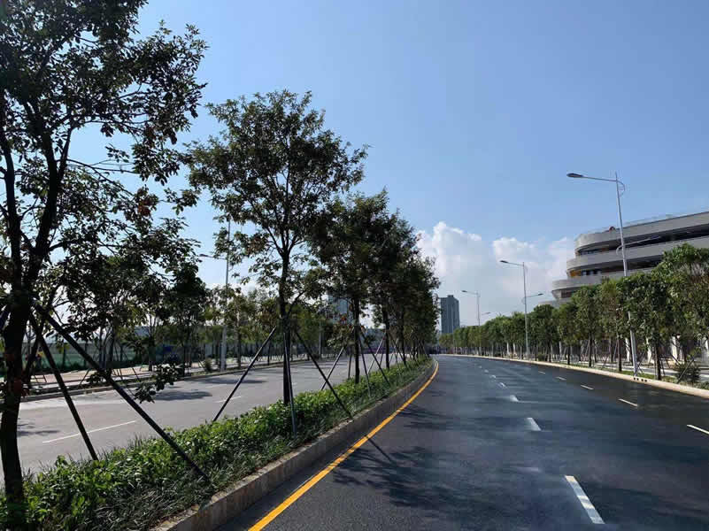 ƺɽ�^(q��)��������·����